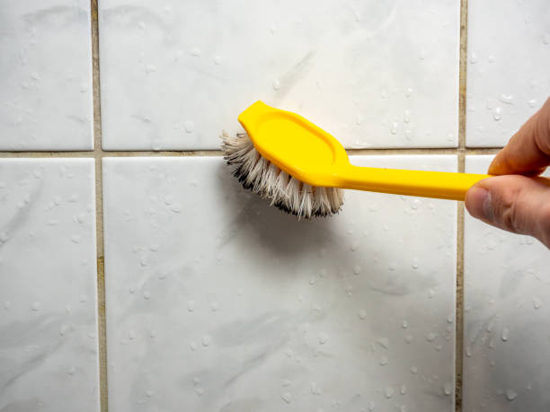 Best Water Damage Restoration  in Ivanhoe, CA