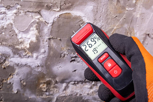 Best Mold Cleaning Services  in Ivanhoe, CA
