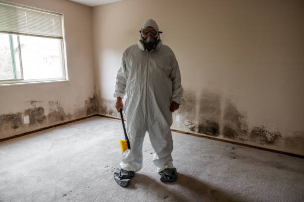 Best Local Mold Removal Service  in Ivanhoe, CA